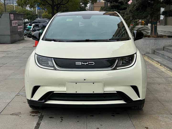 Фото 2 - BYD Dolphin