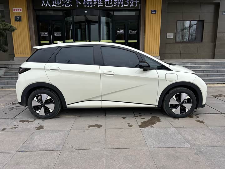 Фото 3 - BYD Dolphin