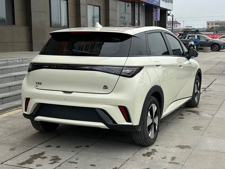 Фото 4 - BYD Dolphin