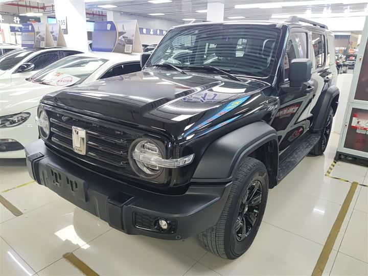 Фото 2 - Tank 300