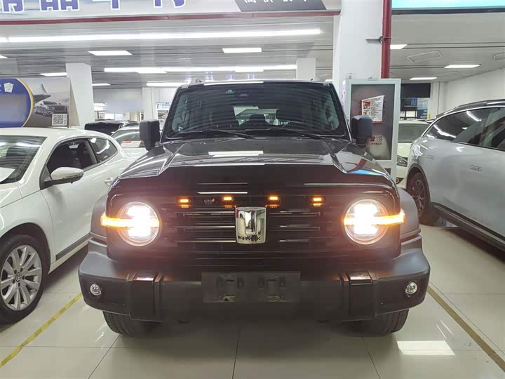 Фото 3 - Tank 300