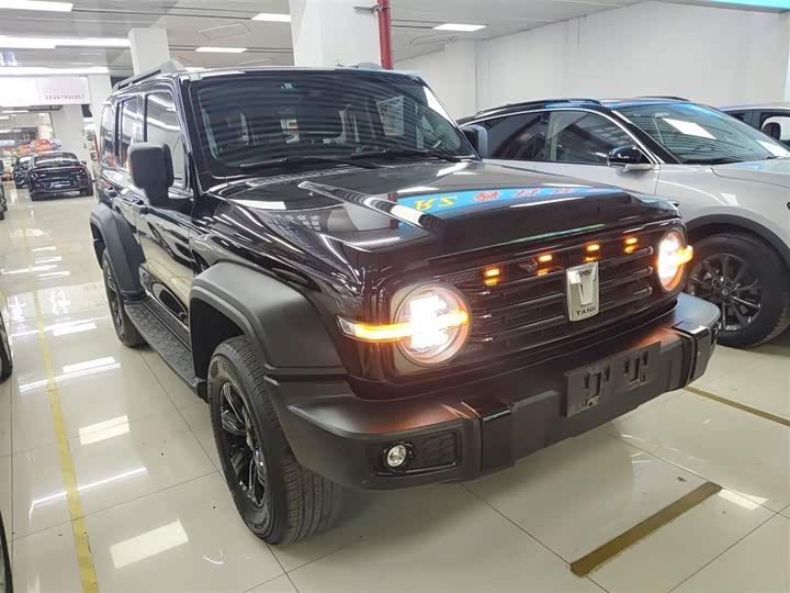 Фото 4 - Tank 300