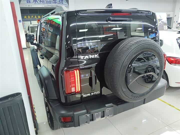 Фото 5 - Tank 300