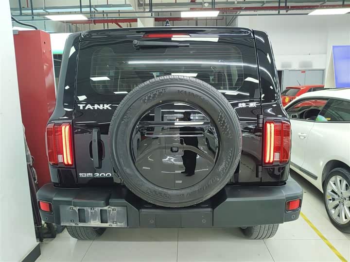 Фото 6 - Tank 300