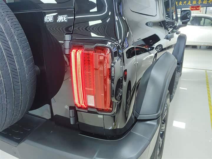 Фото 8 - Tank 300