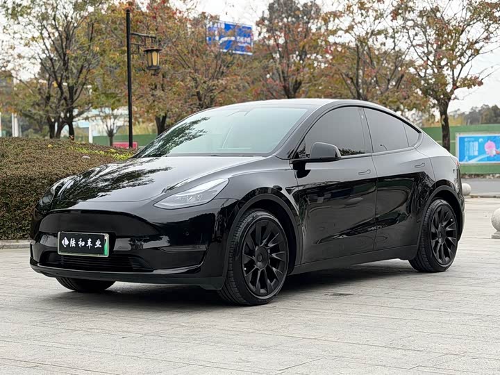 Фото 1 - Tesla Model Y