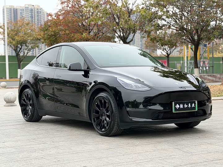 Фото 3 - Tesla Model Y
