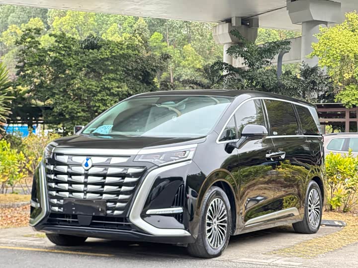 Фото 1 - Denza D9