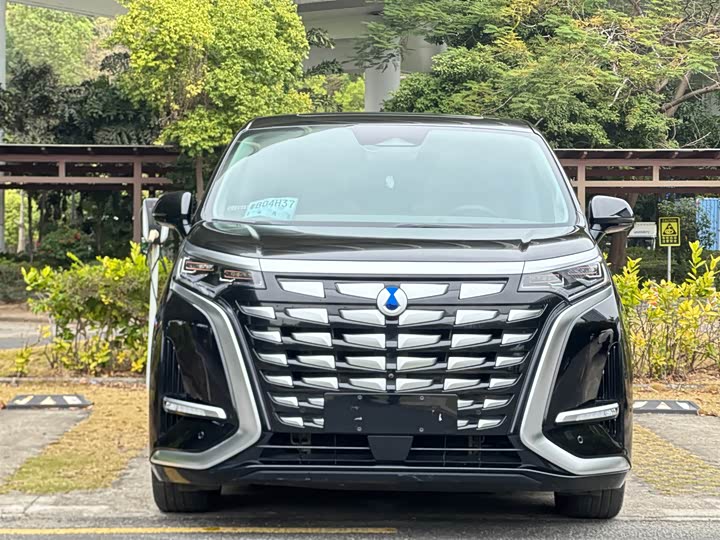 Фото 2 - Denza D9