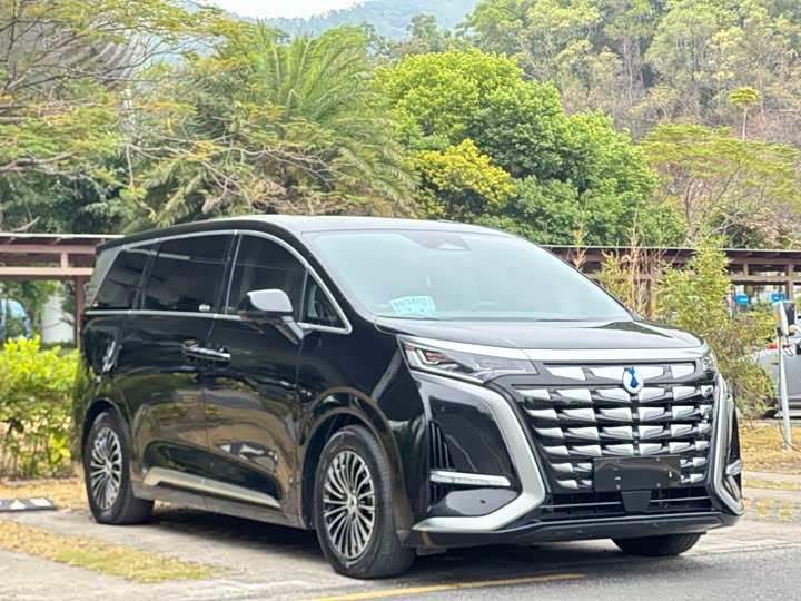 Фото 3 - Denza D9