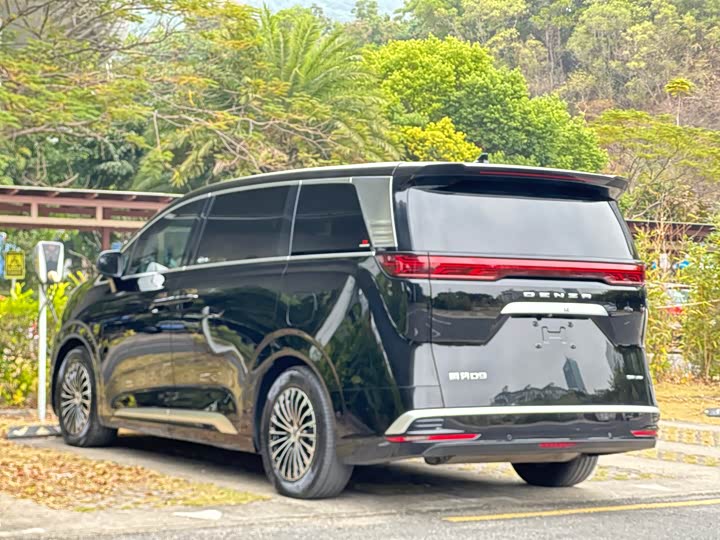 Фото 4 - Denza D9