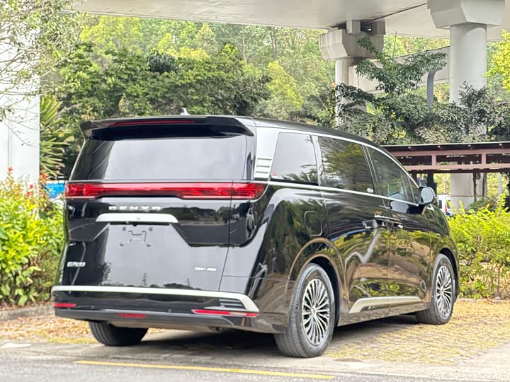 Фото 6 - Denza D9