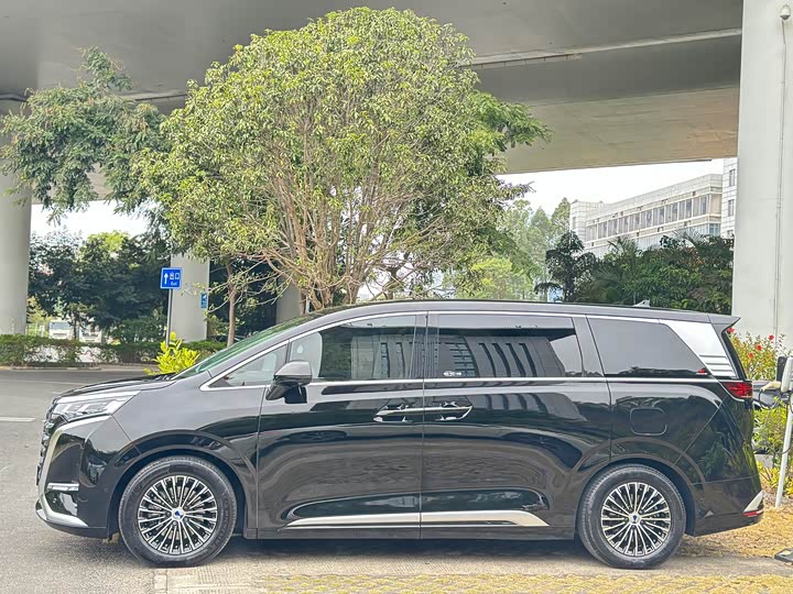 Фото 7 - Denza D9