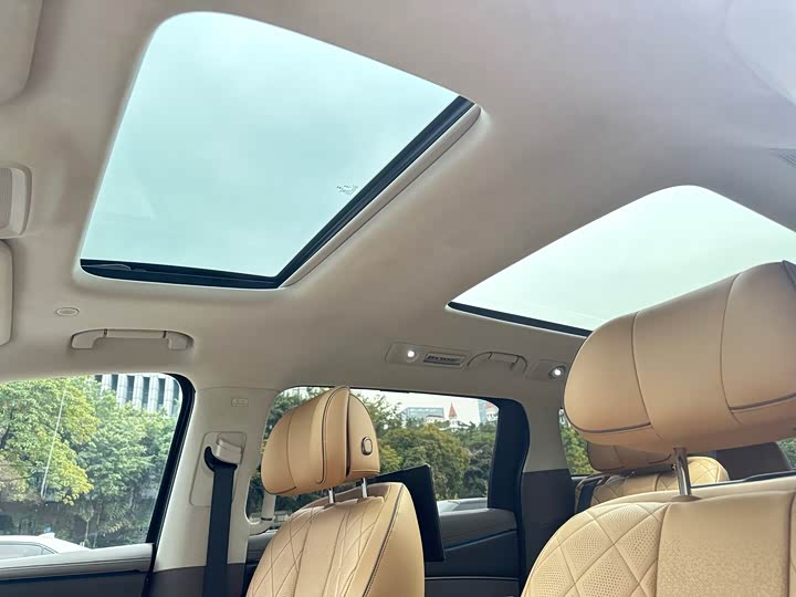 Фото 9 - Denza D9