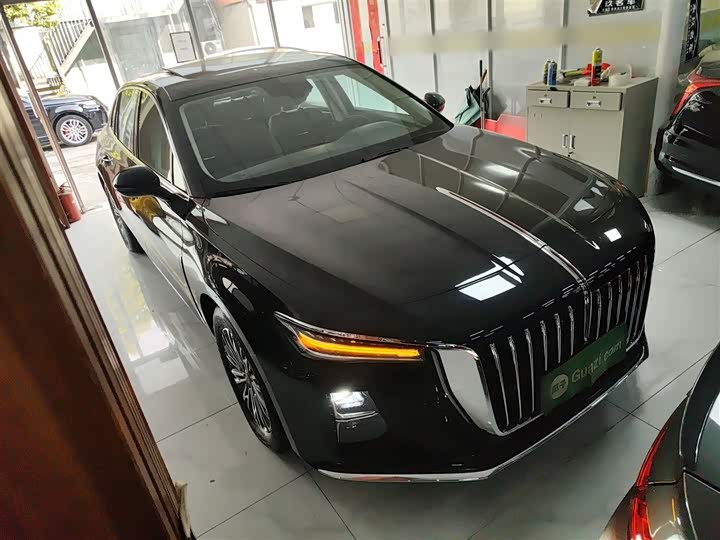 Фото 4 - Hongqi H5