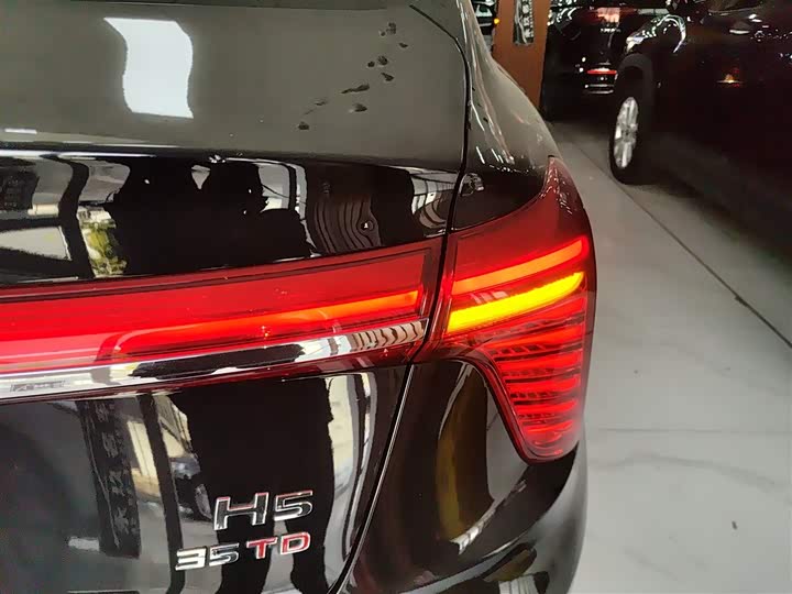 Фото 8 - Hongqi H5