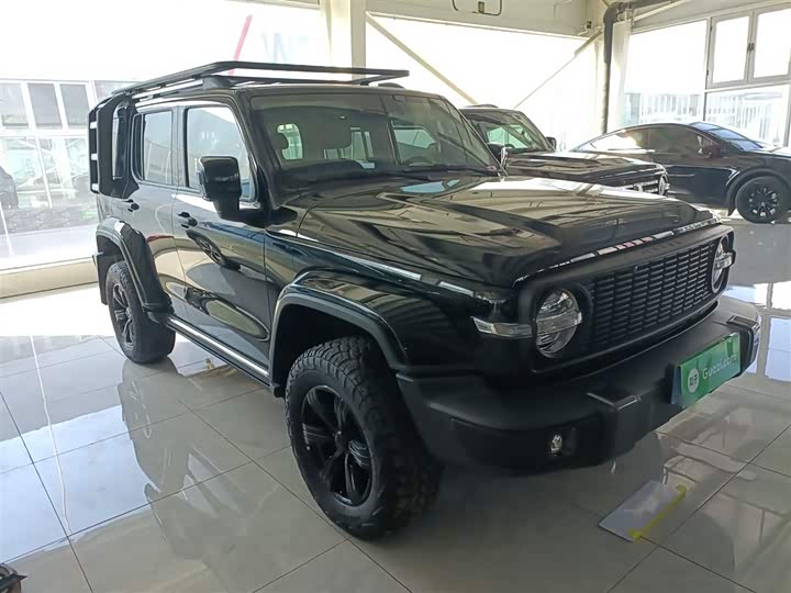 Фото 4 - Tank 300