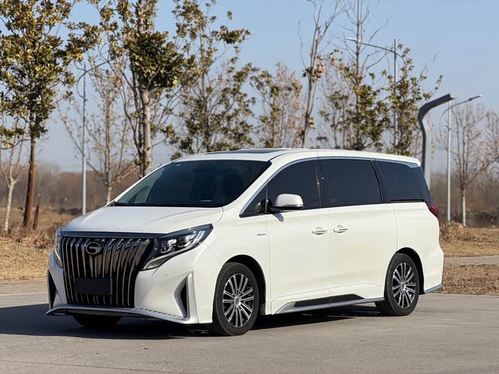 Фото 1 - GAC Trumpchi M8