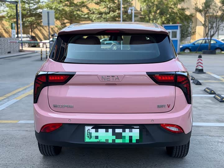 Фото 3 - Hozon V