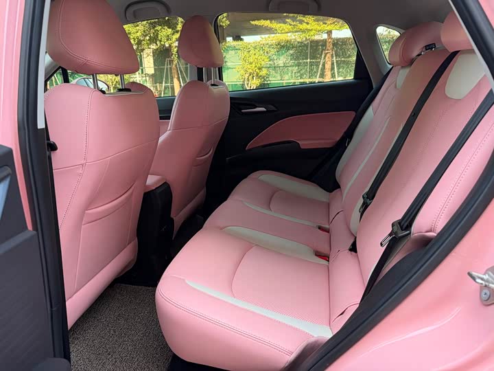 Фото 8 - Hozon V