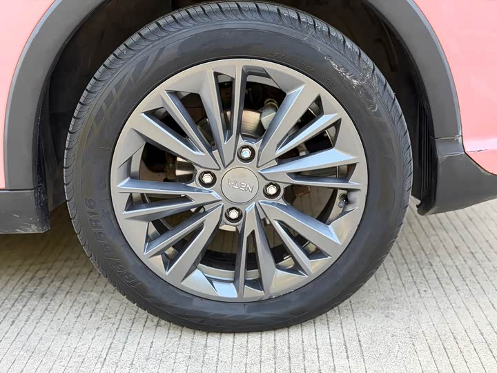 Фото 9 - Hozon V