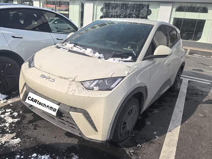 Фото 1 - BYD Seagull