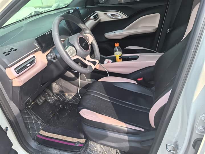 Фото 3 - BYD Seagull