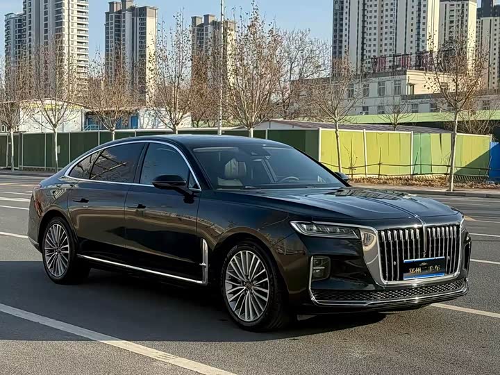 Фото 3 - Hongqi H9