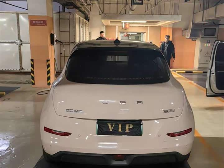 Фото 5 - Ora Good Cat (03)