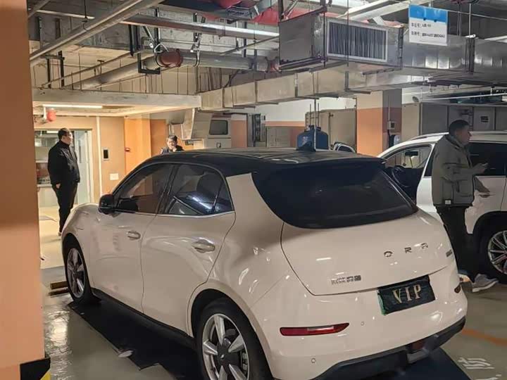 Фото 6 - Ora Good Cat (03)