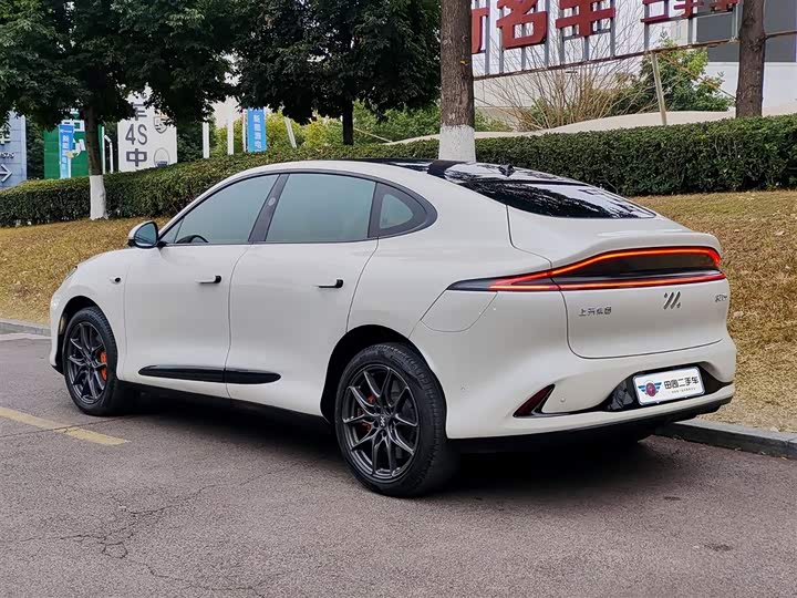 Фото 4 - IM motors LS6