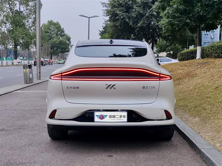 Фото 5 - IM motors LS6