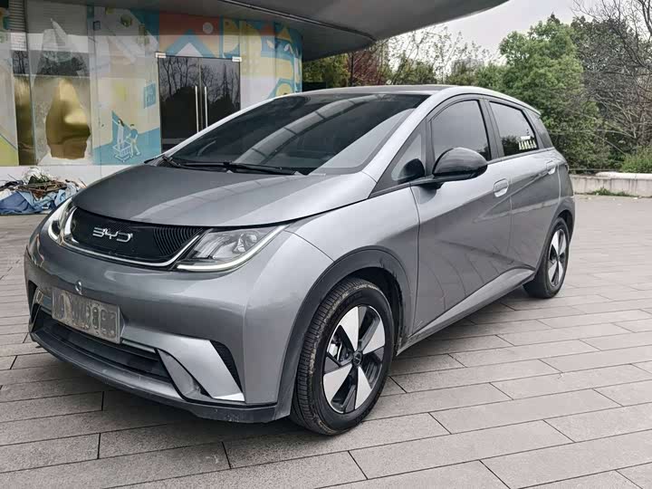 Фото 1 - BYD Dolphin