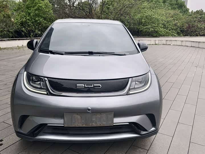 Фото 2 - BYD Dolphin