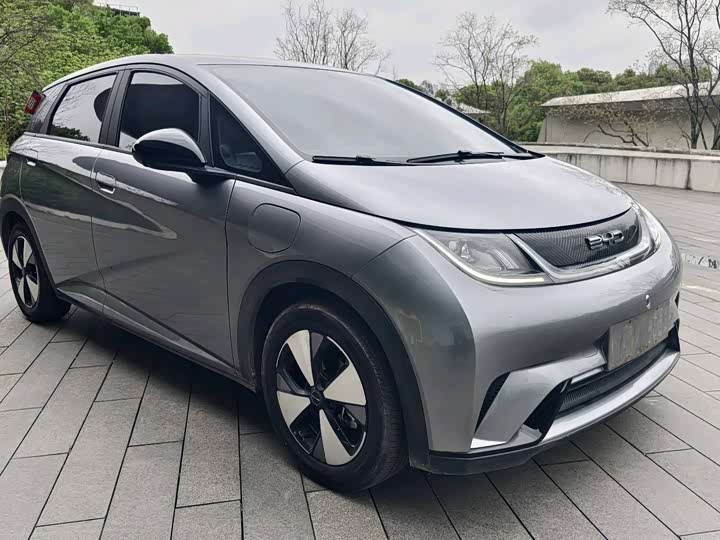 Фото 3 - BYD Dolphin