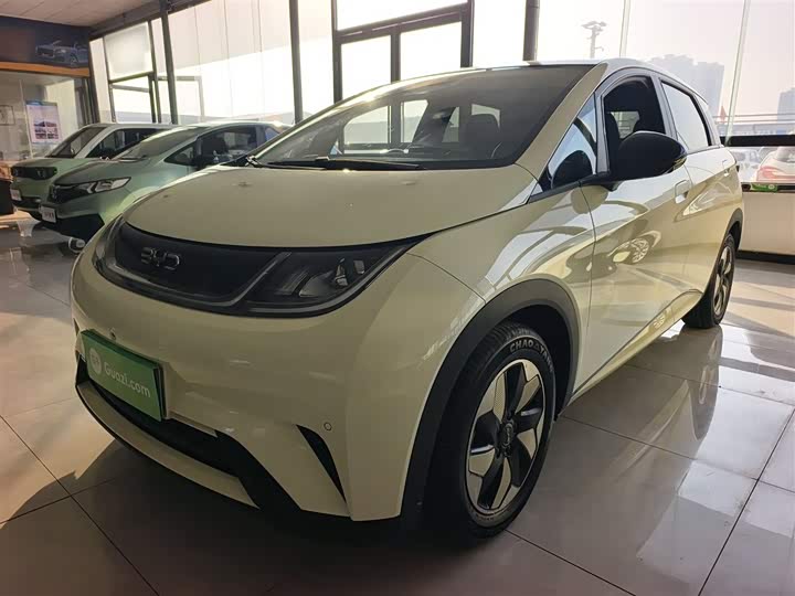 Фото 2 - BYD Dolphin