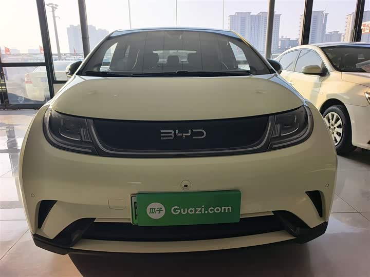 Фото 3 - BYD Dolphin