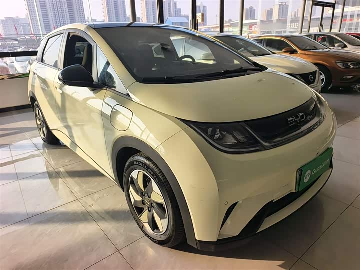 Фото 4 - BYD Dolphin