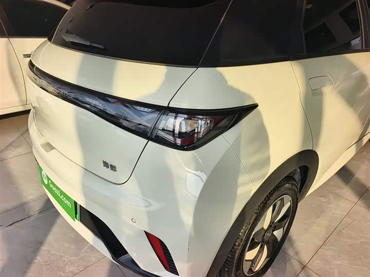 Фото 8 - BYD Dolphin