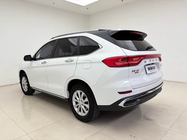 Фото 6 - Haval M6