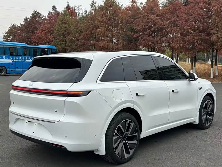 Фото 7 - LiXiang L6