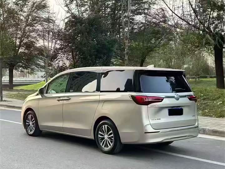 Фото 8 - Buick GL8 ES