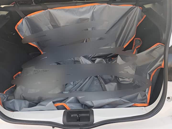 Фото 4 - Dongfeng Nammi Nano EX1 Pro