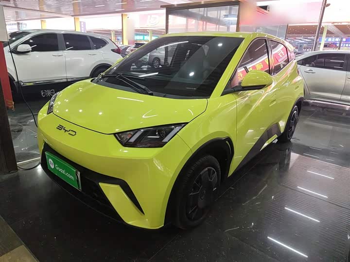 Фото 2 - BYD Seagull