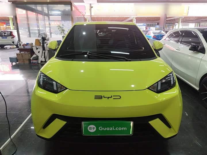 Фото 3 - BYD Seagull