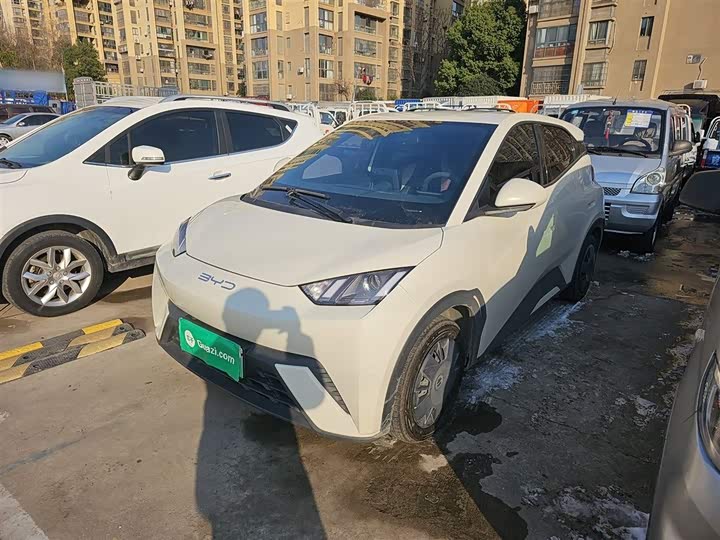 Фото 1 - BYD Seagull