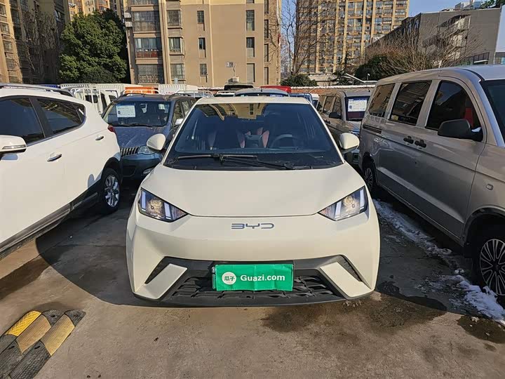 Фото 3 - BYD Seagull