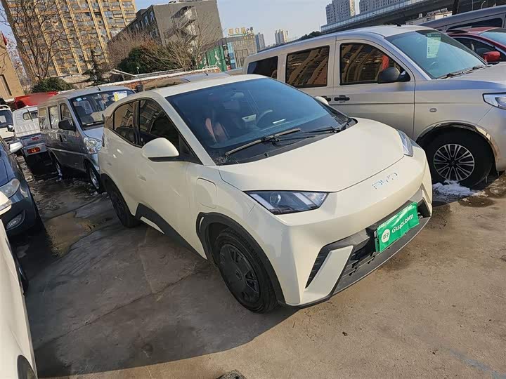 Фото 4 - BYD Seagull