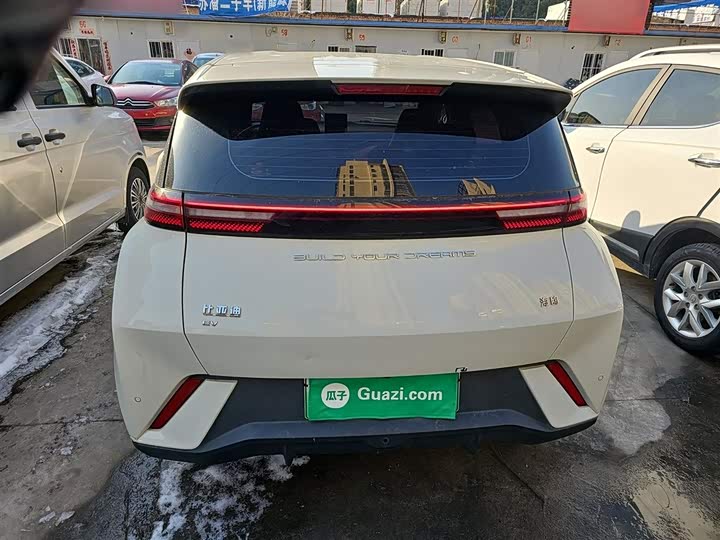 Фото 6 - BYD Seagull