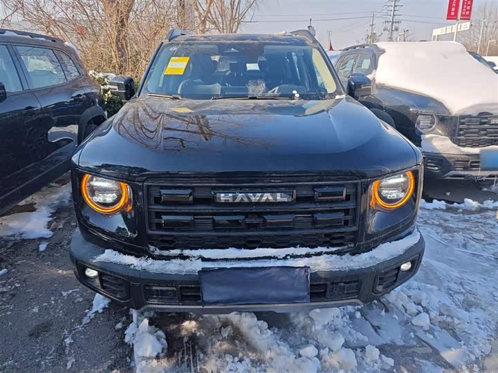 Фото 3 - Haval Dargo